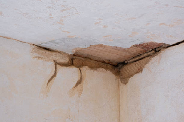 Best Residential water damage restoration  in Pampa, TX