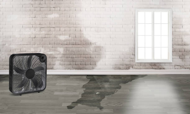 Professional Water damage restoration in Pampa, TX