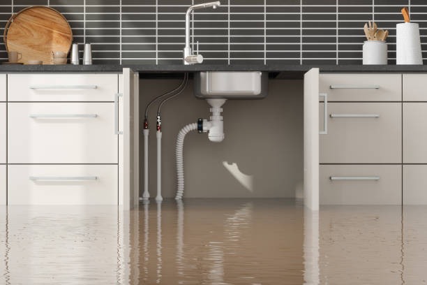 Best Flooded house restoration  in Pampa, TX
