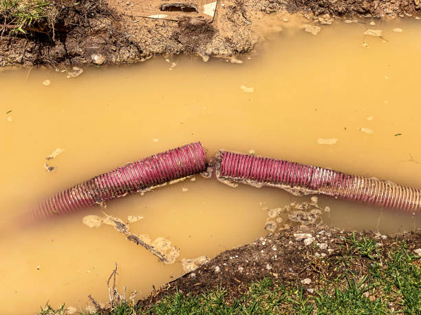 Best Water damage restoration near me  in Pampa, TX